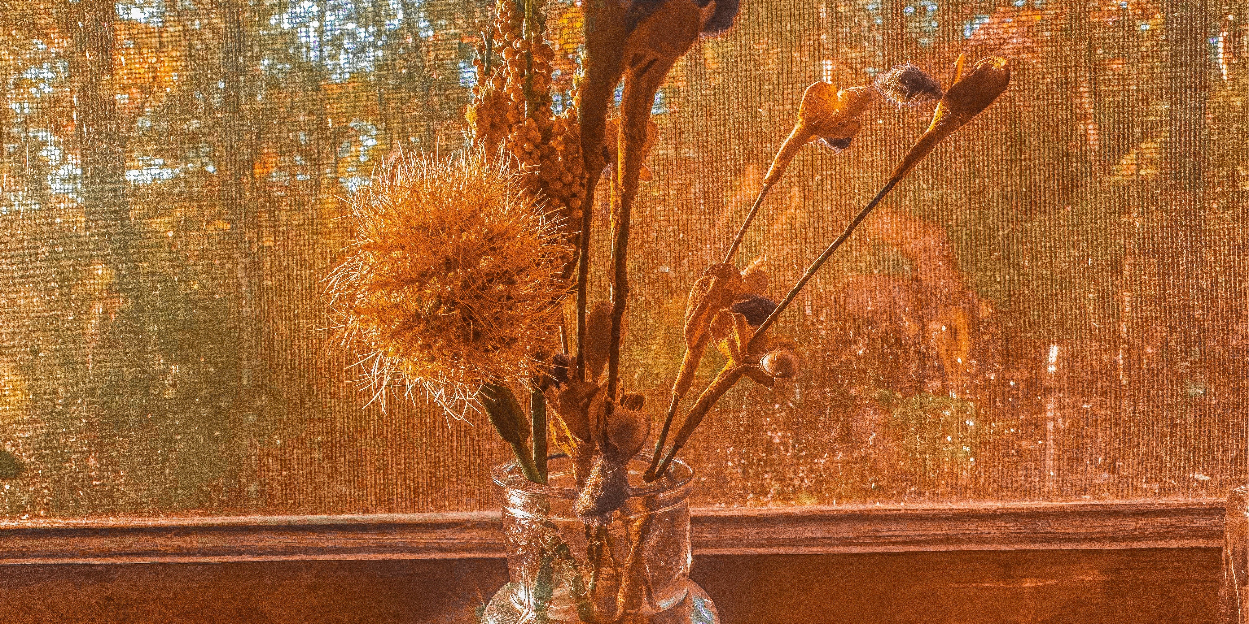 How to Create a Sacred Space at Home