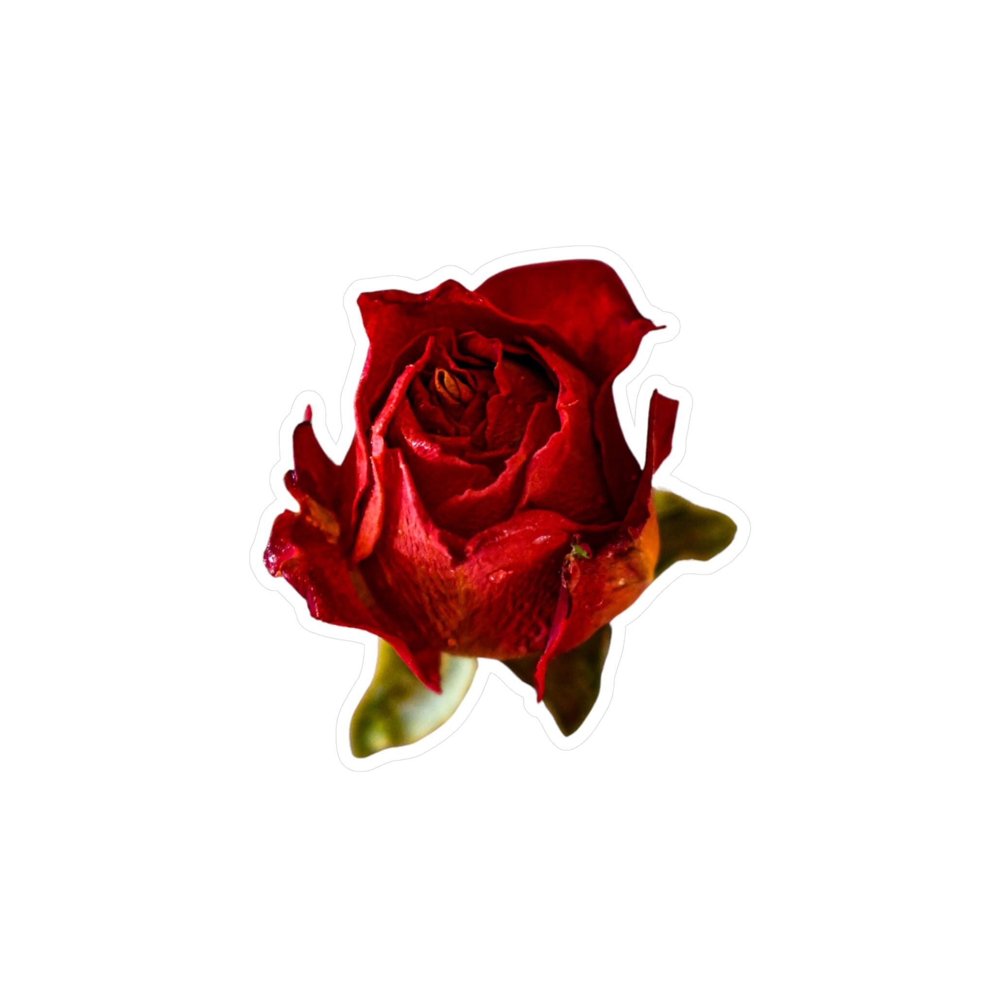 Romantic Red Rose Vinyl Decal Floral Sticker for Scrapbooking, Laptops, Water Bottles, Gift Wrapping, Cute Aesthetic Decor