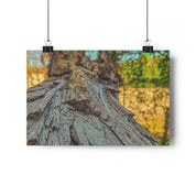 Rooted Reverie Art Print Nature Photography Poster Tree Bark Texture Print Earthy Home Decor Natural Wall Art for Rustic or Boho Interiors