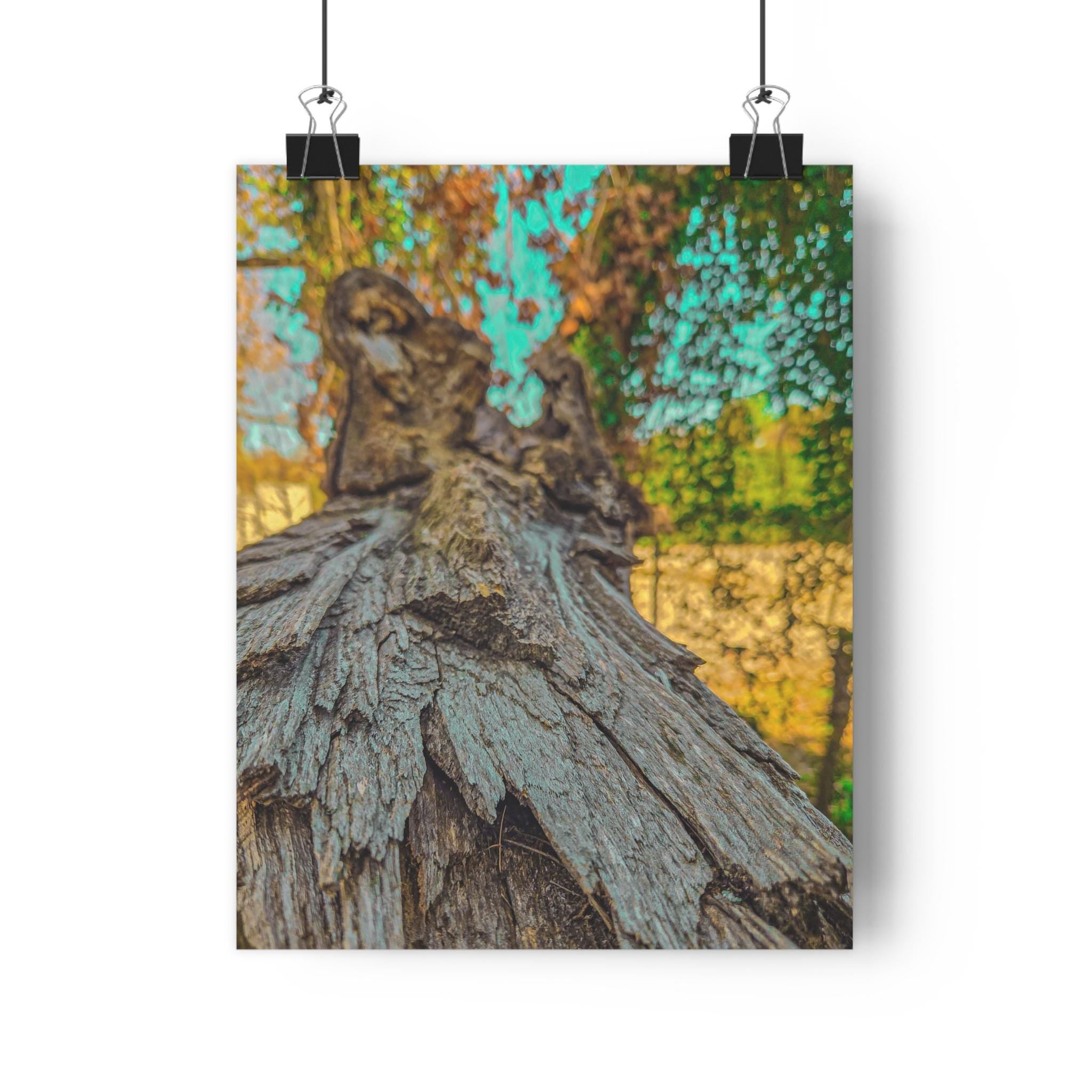 Rooted Reverie Art Print Nature Photography Poster Tree Bark Texture Print Earthy Home Decor Natural Wall Art for Rustic or Boho Interiors