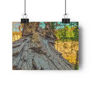 Rooted Reverie Art Print Nature Photography Poster Tree Bark Texture Print Earthy Home Decor Natural Wall Art for Rustic or Boho Interiors