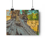 Rooted Reverie Art Print Nature Photography Poster Tree Bark Texture Print Earthy Home Decor Natural Wall Art for Rustic or Boho Interiors