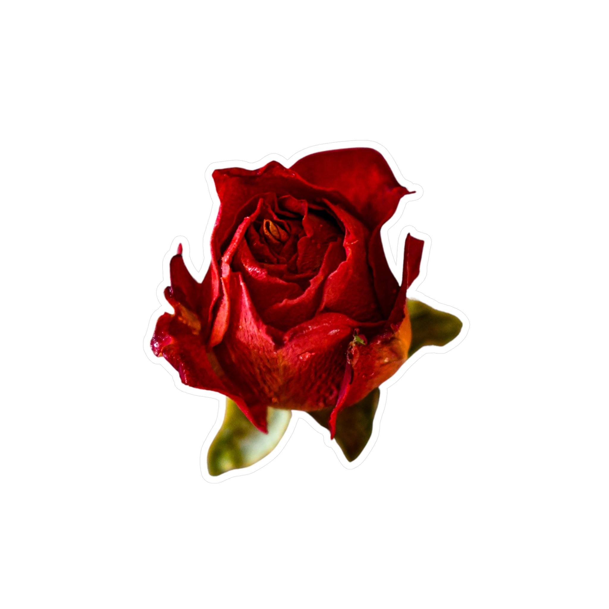 Romantic Red Rose Vinyl Decal Floral Sticker for Scrapbooking, Laptops, Water Bottles, Gift Wrapping, Cute Aesthetic Decor