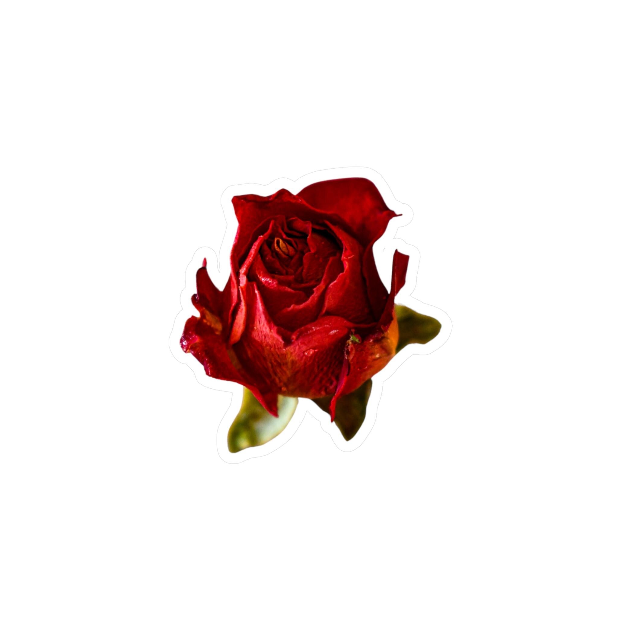 89a98c3a-il_fullxfull.6806110067_2g61.jpg