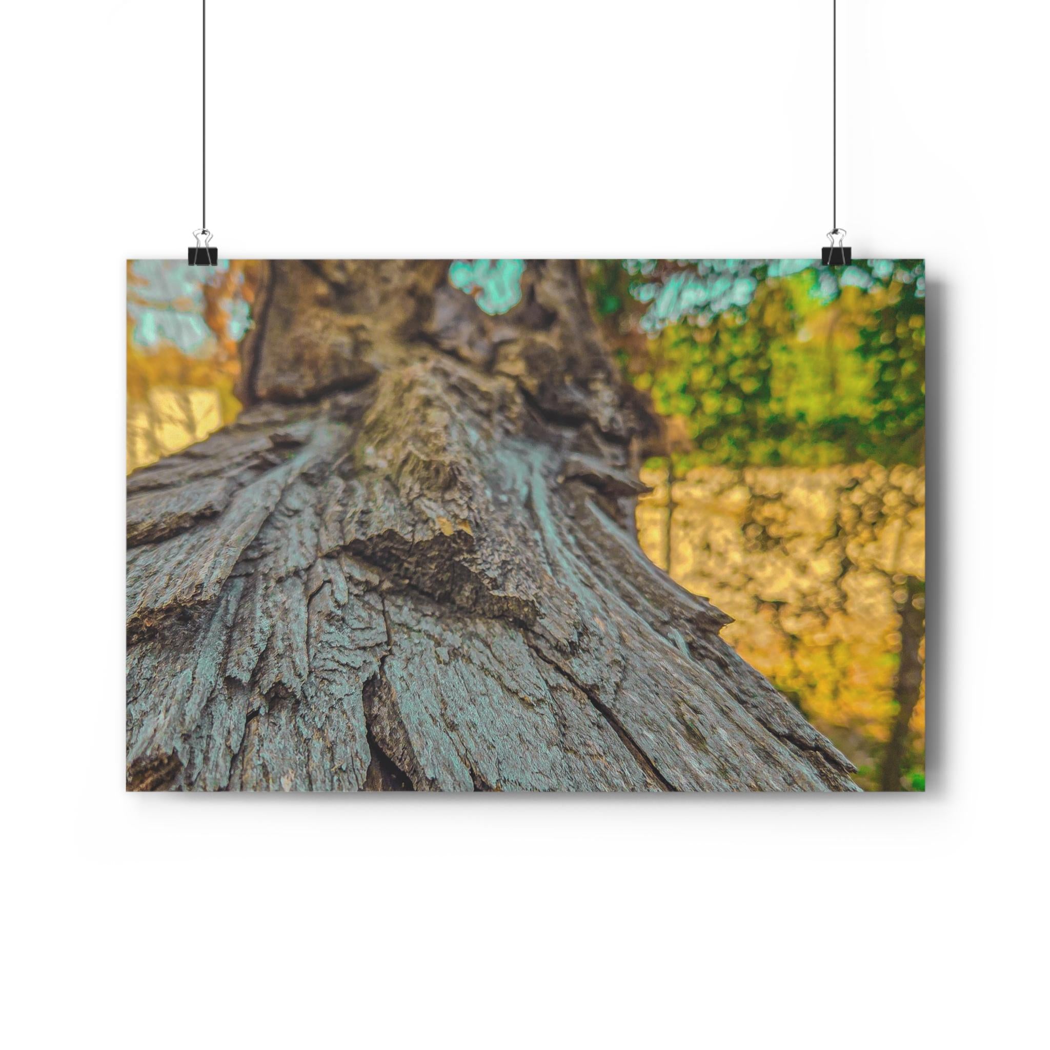 Rooted Reverie Art Print Nature Photography Poster Tree Bark Texture Print Earthy Home Decor Natural Wall Art for Rustic or Boho Interiors