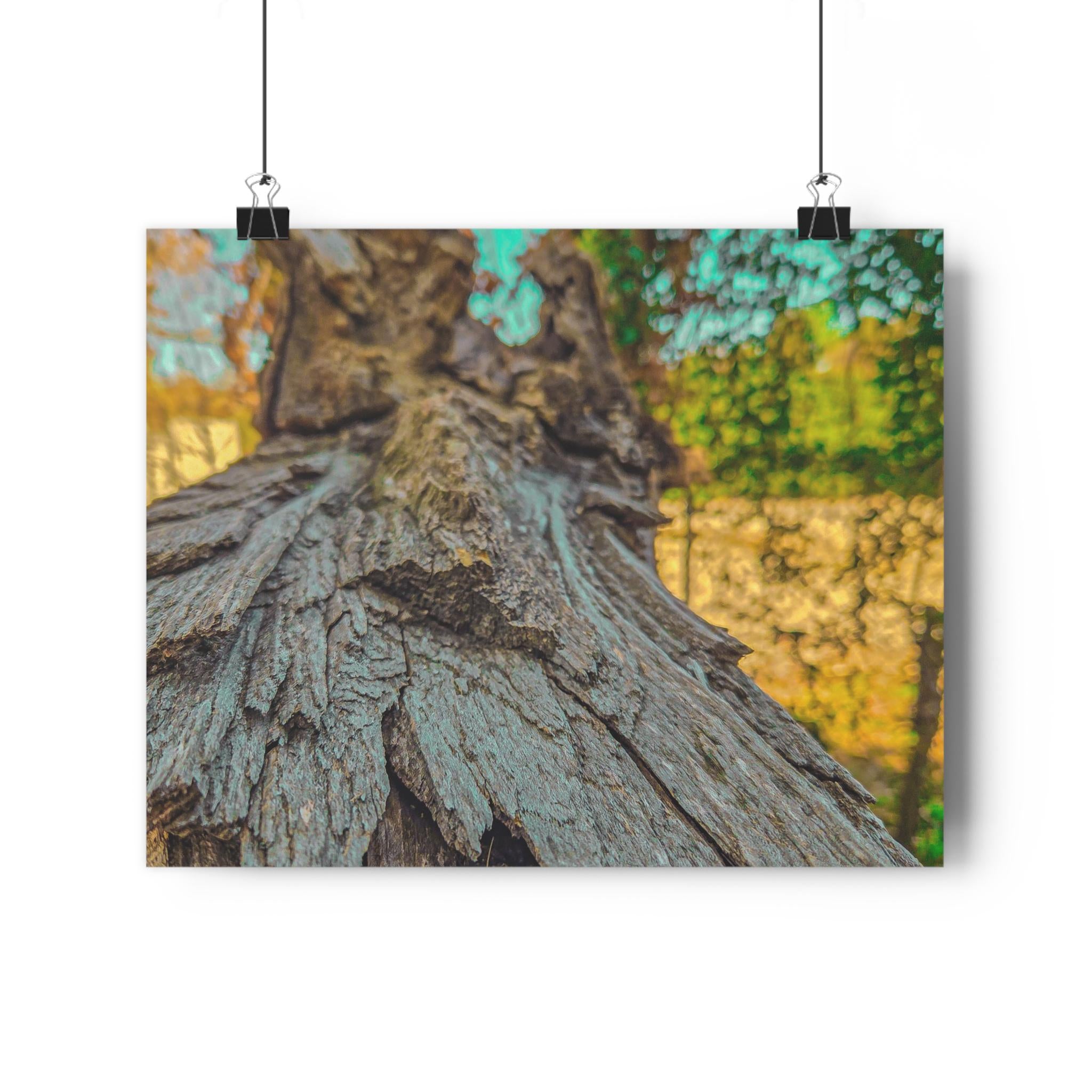 Rooted Reverie Art Print Nature Photography Poster Tree Bark Texture Print Earthy Home Decor Natural Wall Art for Rustic or Boho Interiors
