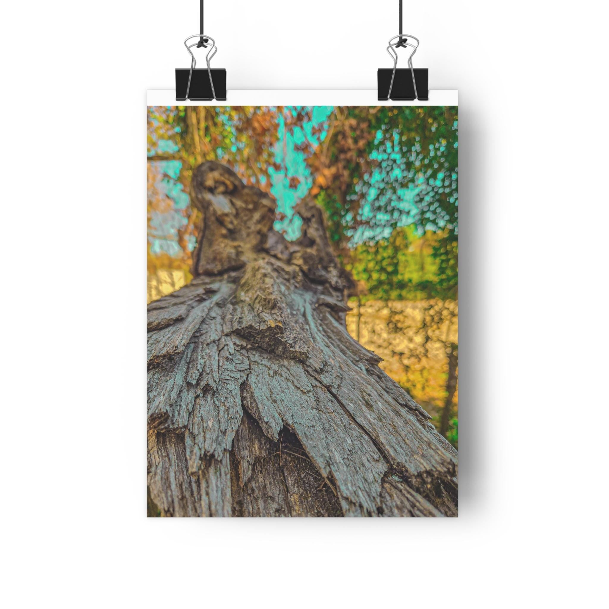 Rooted Reverie Art Print Nature Photography Poster Tree Bark Texture Print Earthy Home Decor Natural Wall Art for Rustic or Boho Interiors